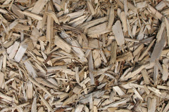 biomass boilers Drewsteignton